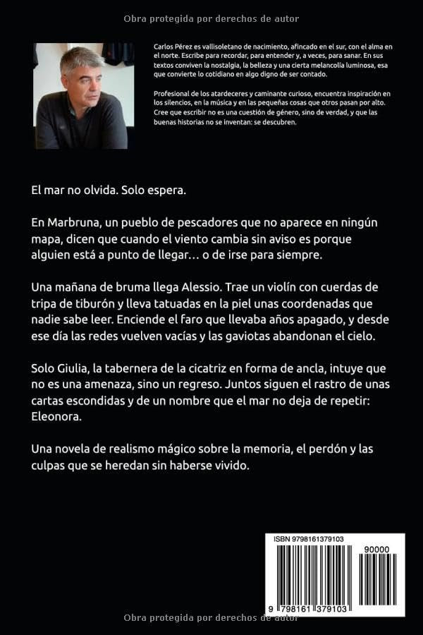 Contraportada de El faro y la brisa
